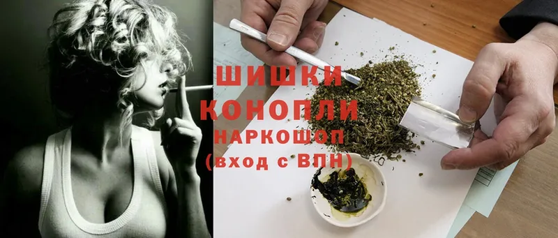 Бошки Шишки OG Kush  купить  цена  Данков 